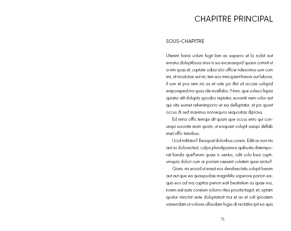 Exemple d'une mise en page d'un guide pratique minimaliste version moderne